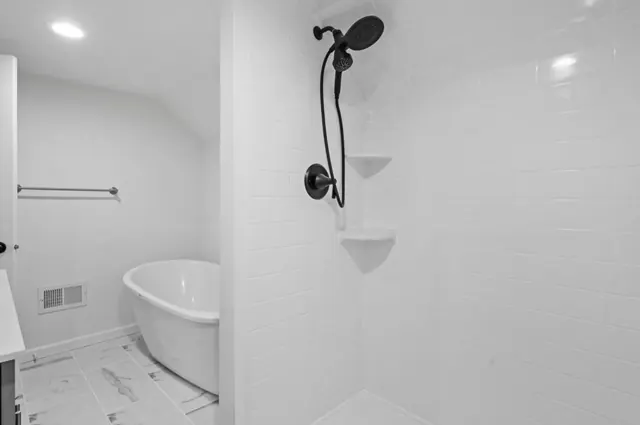 Freestanding tub and tiled walk-in shower, Twin Cities